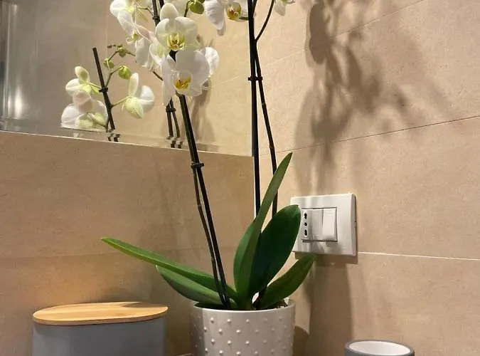 Appartement Pantheon Grand